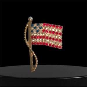 Vintage Rafaelian flag Brooch
